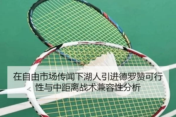 zai-zi-you-shi-chang-chuan-wen-xia-hu-ren-yin-jin-de-luo-zan-ke-xing-xing-yu-zhong-ju-li-zhan-shu-jian-rong-xing-fen-xi-2-631.jpg