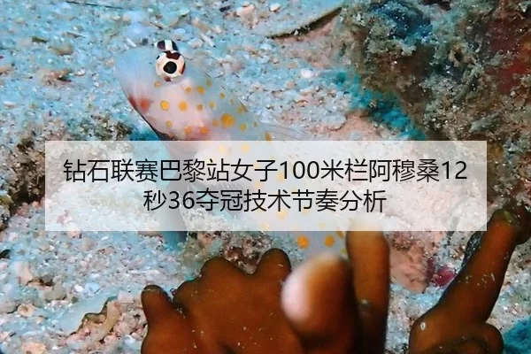 钻石联赛巴黎站女子100米栏阿穆桑12秒36夺冠技术节奏分析